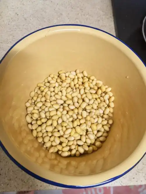 我在上海隔离那天看到主厨广坦做豆腐的抖音,想到自己还有点黄豆于是