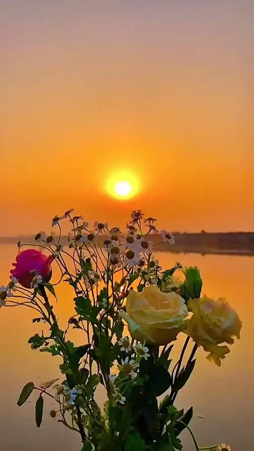 最美的风景#愿你所有的深情,都被温柔以待,愿你所遇皆良人