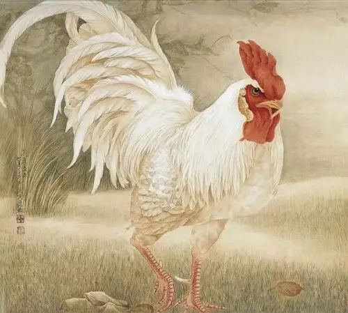 工笔画鸡,这是高手!_公鸡