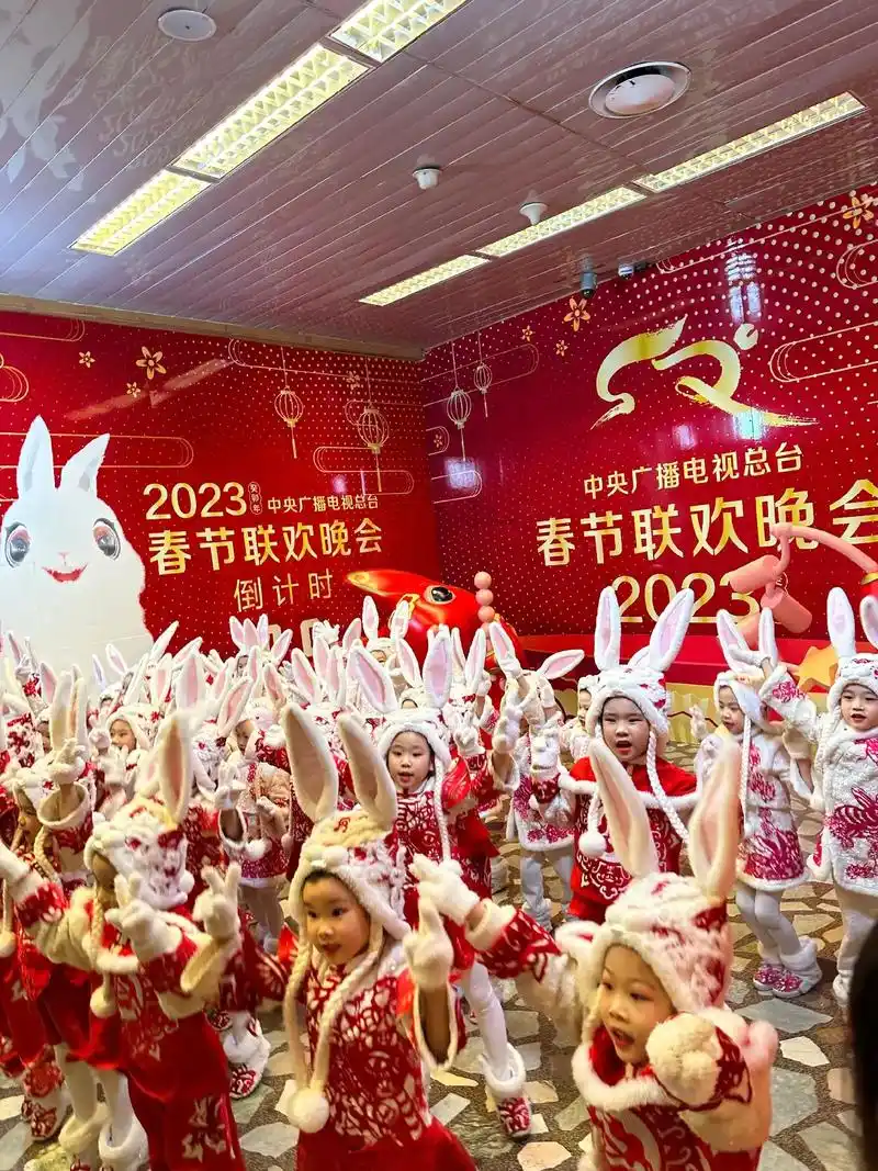 炫炫有幸观看了2019年现场央视春晚,连续5年的春节孩子没有 - 抖音