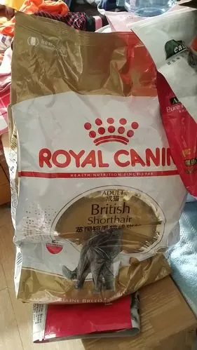 法国皇家royal canin 英国短毛猫成猫粮10kg bs34