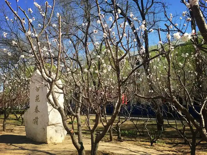 中医成语故事——杏林春暖