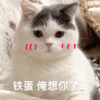 341_341gif 动态图 动图
