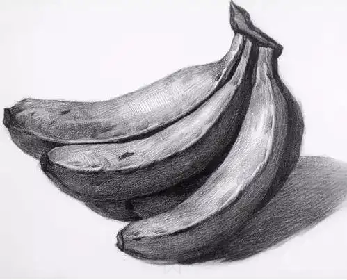 基础素描单个物体