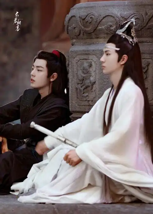 陈情令忘羡肖战王一博