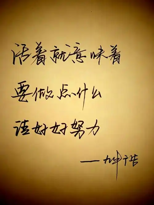 活着就意味着,要做点什么,请好好努力!