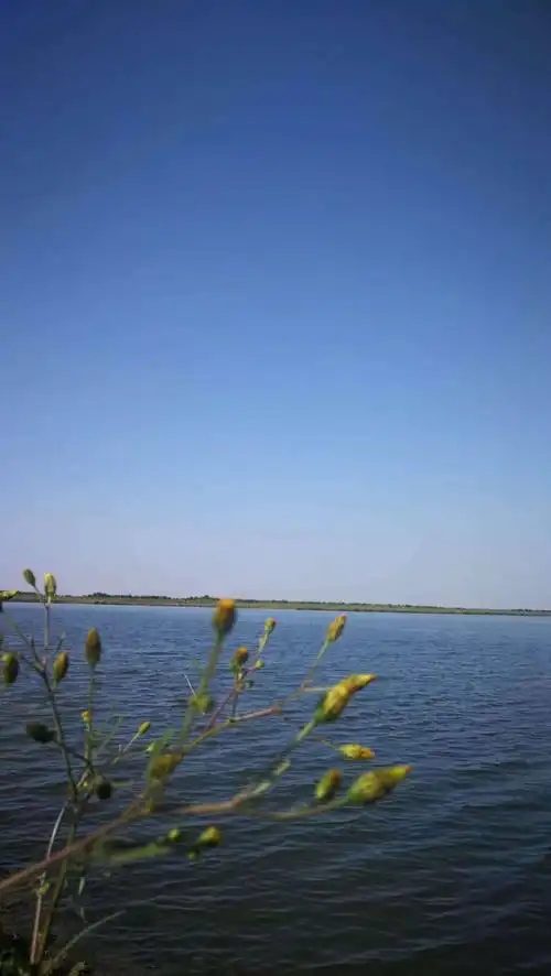 公园实拍,美景处处