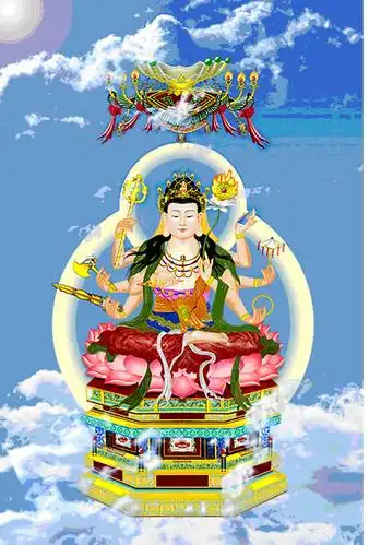 2011年1月27日 - 南无大悲观世音菩萨的日志 - 网易博客