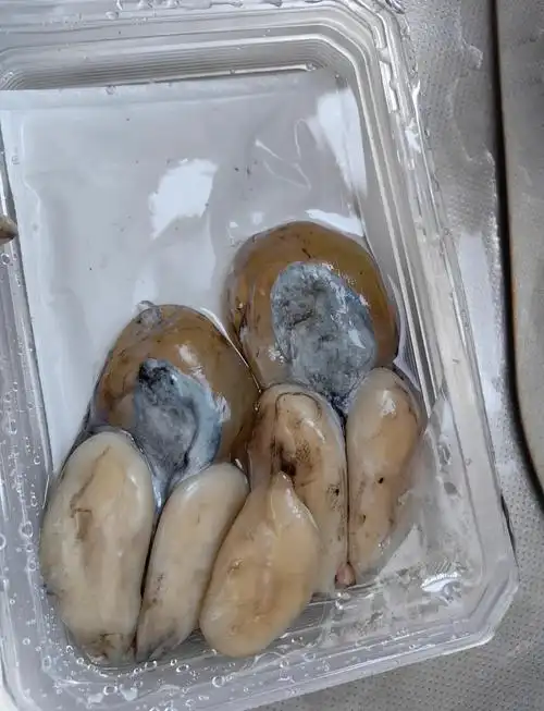 🐟墨鱼蛋蒸蛋:27元的美味体验🍳