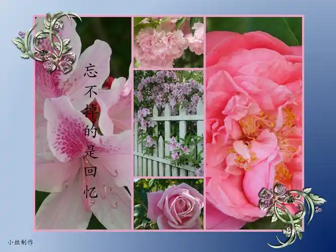 【人生感悟 - 忘不掉的是回忆】