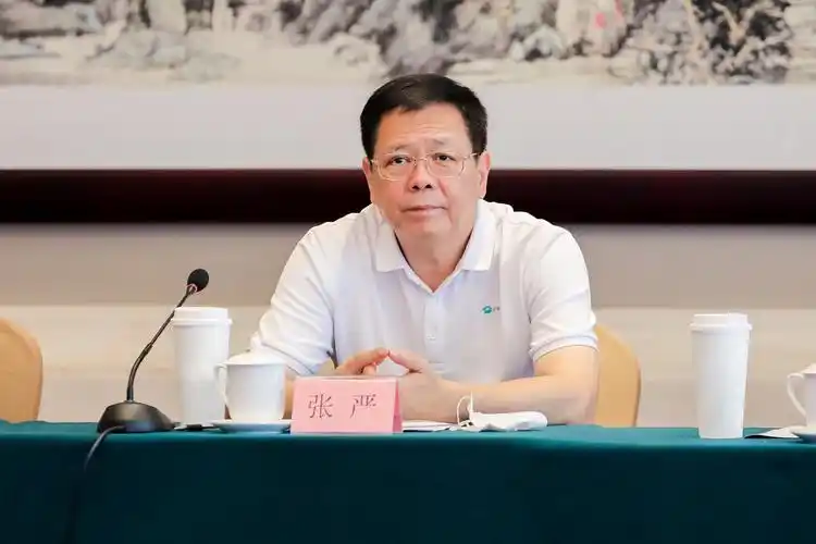 芒果季风我在他乡挺好的研讨会好剧在于真实真诚真情地展现