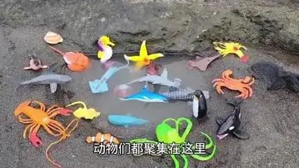 少儿玩具:认识八爪鱼,小丑鱼