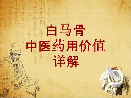 中药学_白马骨_药材详解课件模板.ppt 22页