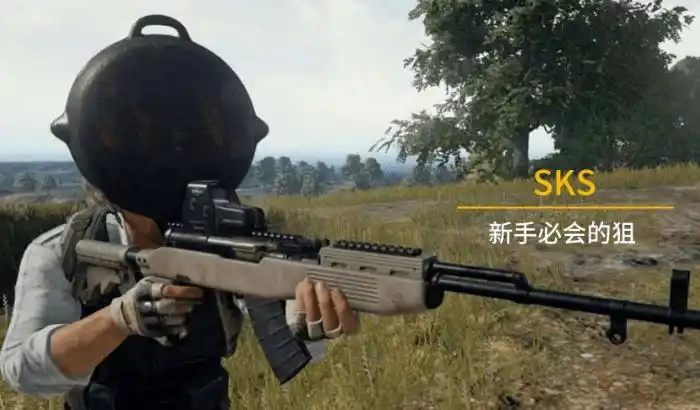 和平精英一把老少通吃的狙击枪sks非常适合新手