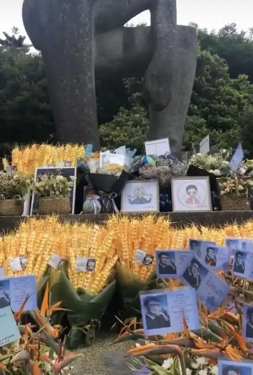 高以翔去世7个月,女友前往墓地祭奠,并晒照替他致谢