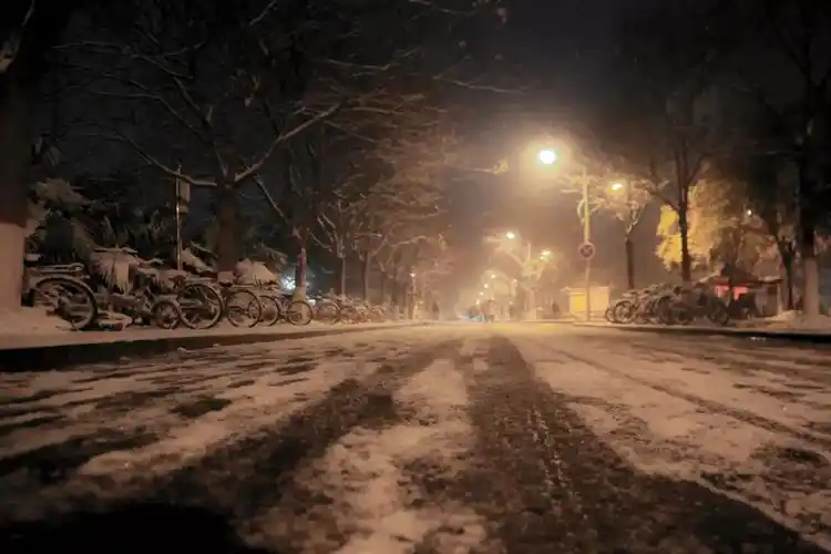 忆雪那是冬天的无声告白