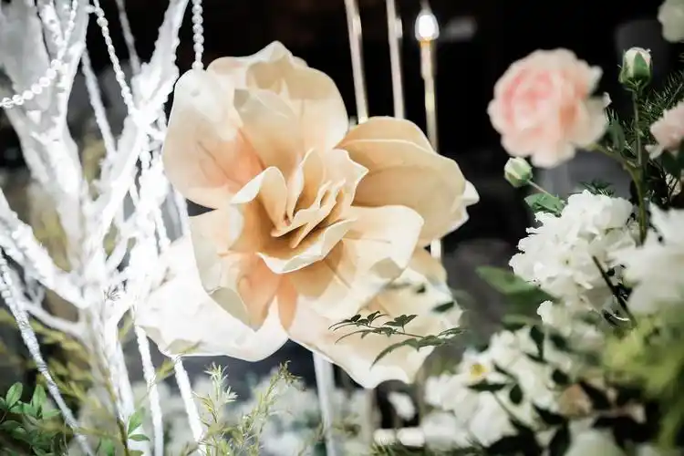 香槟色西式唯美婚礼