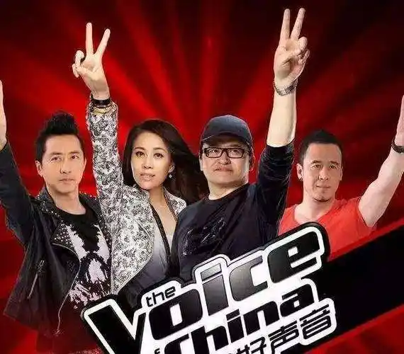 这一年,《中国好声音》如火如荼地在全国进行招募.