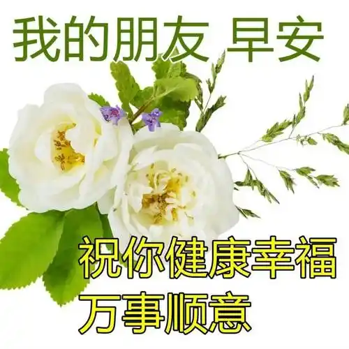 最新早上好表情图片大全,开心每一天,平安健康_星期六_生活_河流