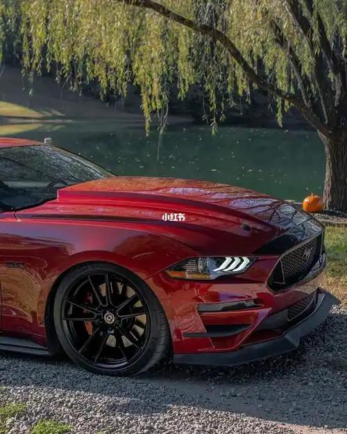 这么帅的野马你不爱吗