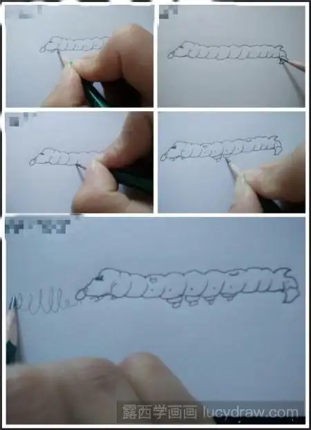 教你画蚕宝宝蜕变成飞蛾的过程