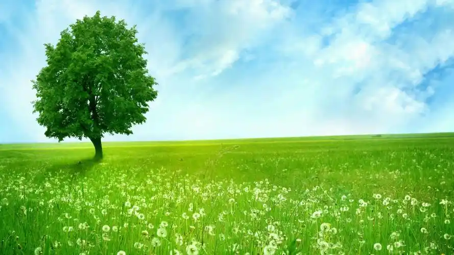 精选蓝天白云护眼电脑桌面壁纸下载高清大图预览1920x1080_风景壁纸