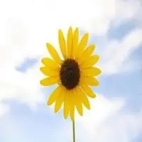 微信积极头像图片大全【点击鼠标右键下载】