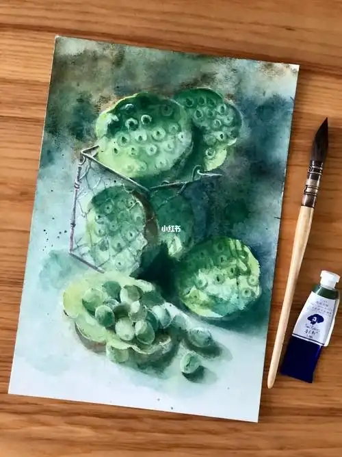 水彩莲蓬莲子附步骤