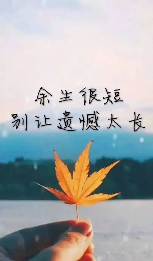 形容感情不顺的句子 谈论表示心情不好的句子-牛句网