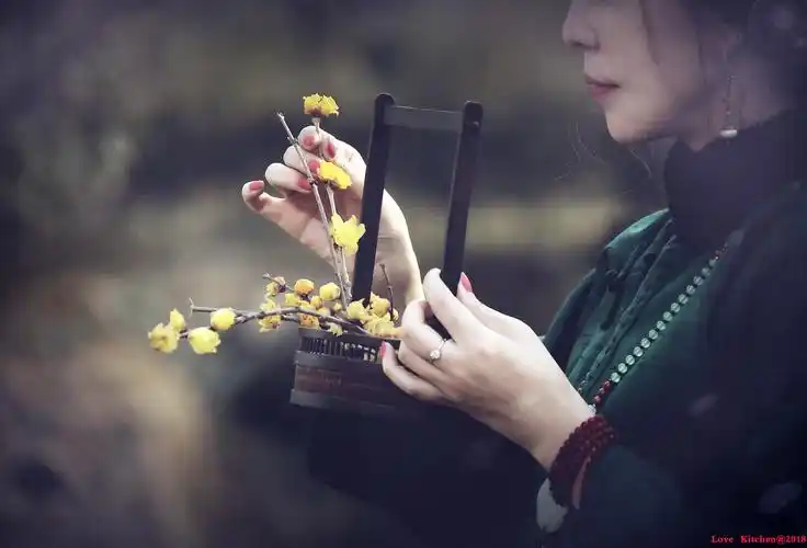 茶道人生,人生需悟!