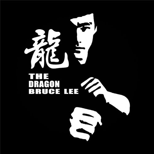 防水反光汽车贴纸不褪色车身贴截拳道671功夫巨星精武门李小龙