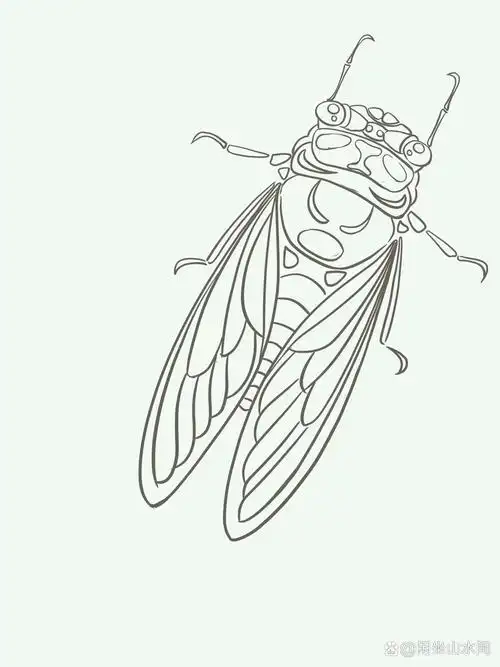 夏天主题儿童画知了,夏日蝉鸣儿童画