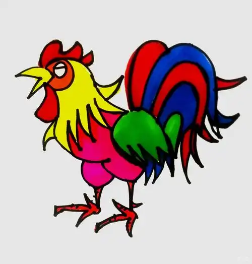 学画简笔画大公鸡的画法教程