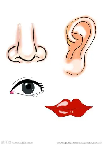 卡通五官设计图__psd分层素材_psd分层素材_设计图库_昵图网nipic.com