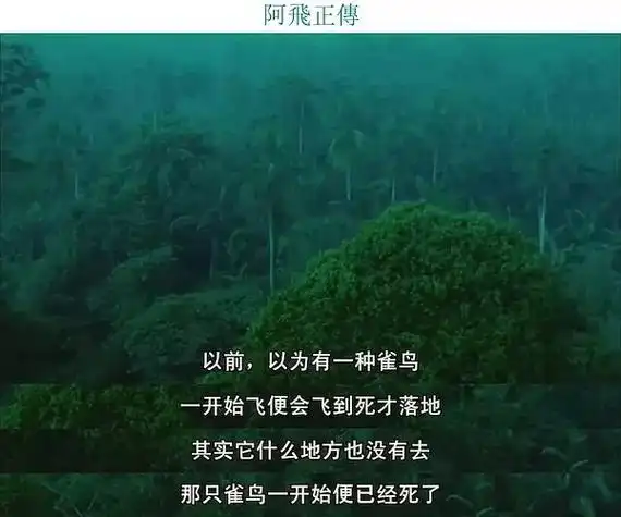 那句"滑倒"让我想到了《阿飞正传》的"无脚鸟"