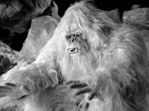 喜马拉雅山雪人神龙架野人真的存在吗