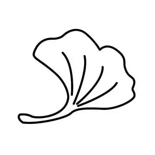 银中草药杏简笔画 银杏中草药怎么画