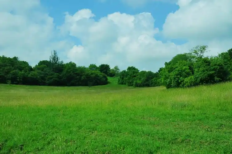 清新的原野图片3000x2000分辨率查看