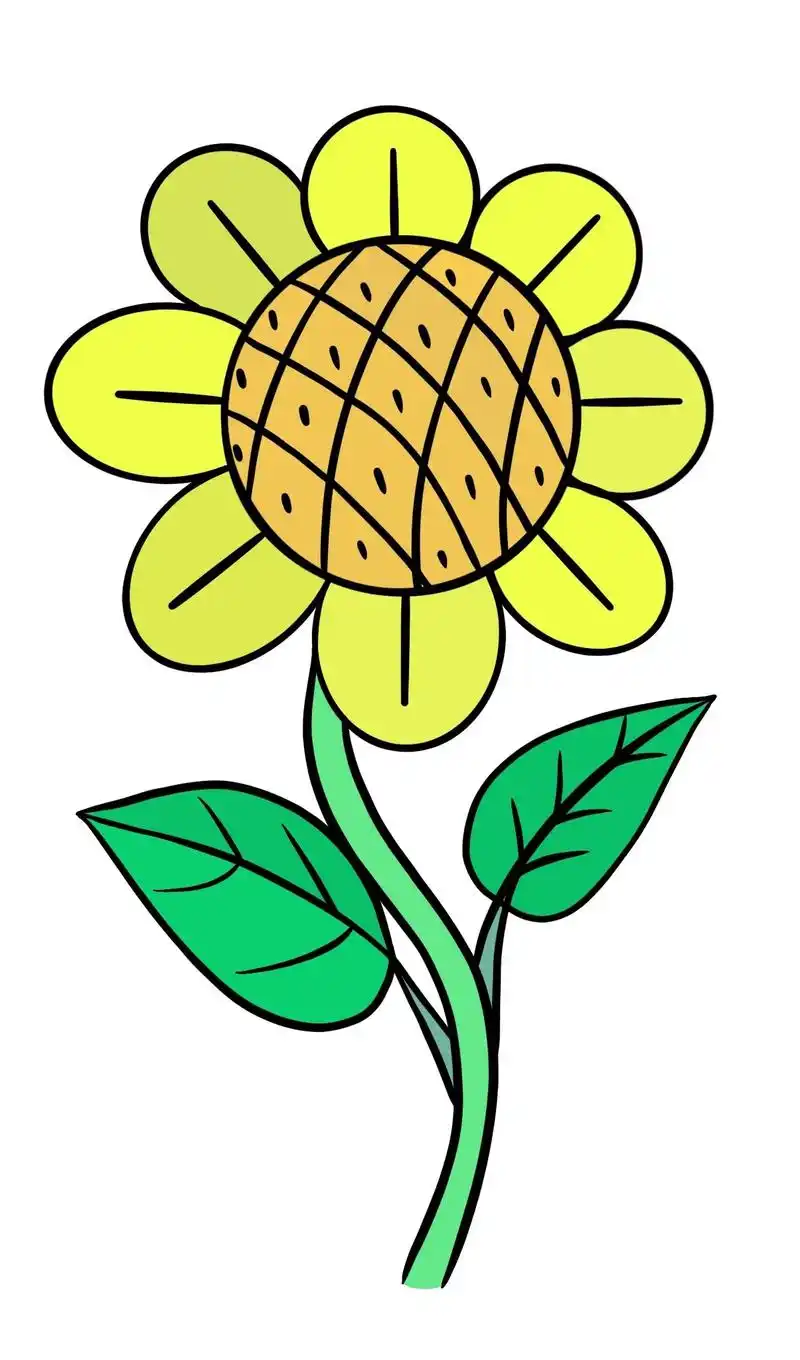 幼儿园简笔画向日葵