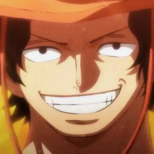 海贼王头像│艾斯