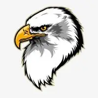 老鹰头像大全大图 飞翔老鹰图像_微信头像图片大全