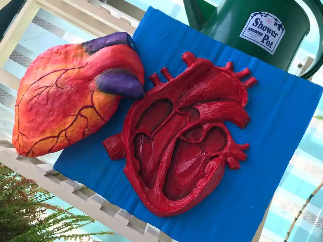 本着别出心裁出奇制胜的原则尝试用石塑粘土做了一个立体心脏结构