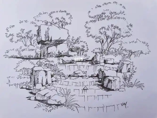 景观手绘公园一角的石与植物