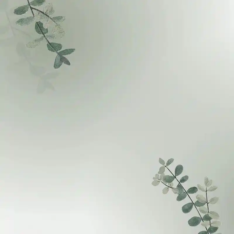 自制晒单图 | 背景图 | 简约高级背景图 | 一张吸睛晒单图,在三秒之内