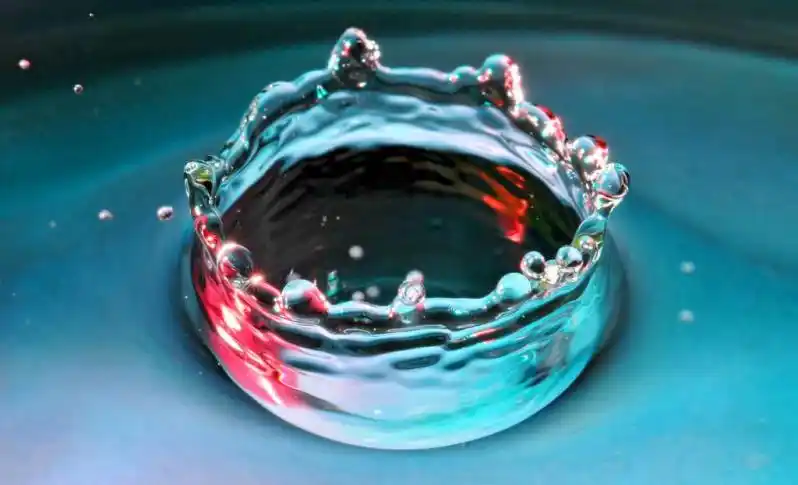 多彩的水冠图片