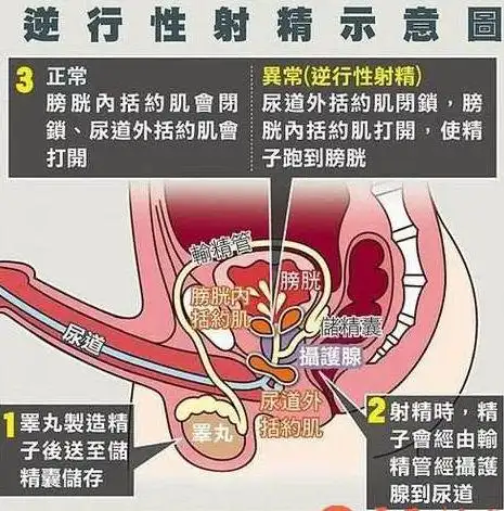 《晋中新东方男科医院》一次性生活持续多长时间算正常呢?