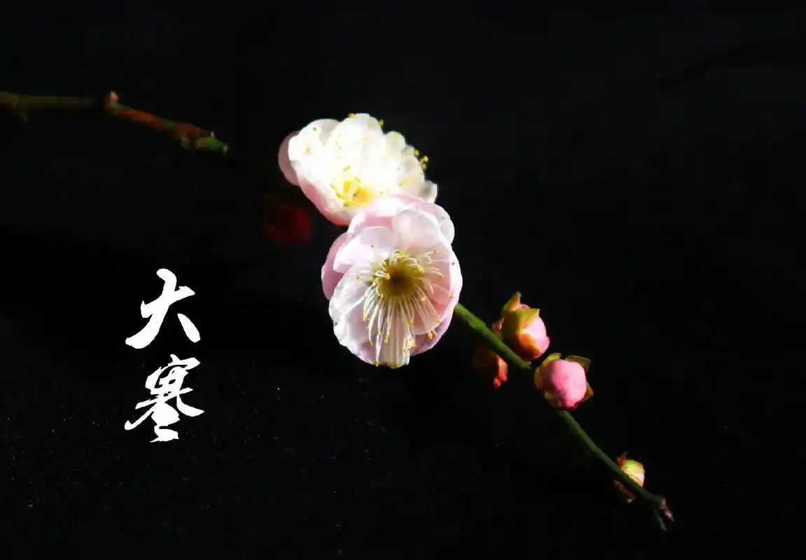 图文来了 高清壁纸,分享给大家.  - 抖音