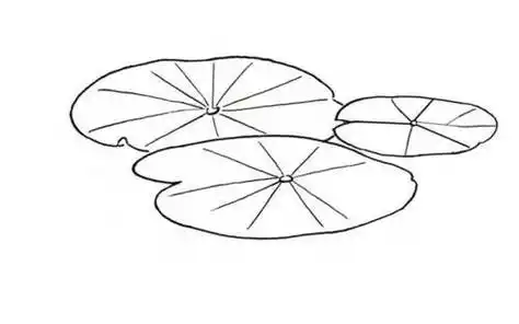 夏天荷叶简笔画 最新荷叶简笔画简单又好看