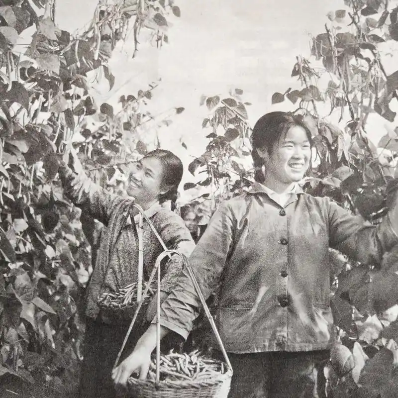 70年代记忆(19)——怀旧图片欣赏