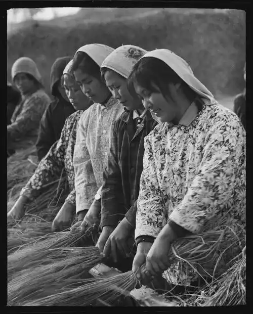 知识青年下乡养猪能手水上小学生产互助的农村妇女人们在跳忠字舞千军